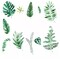 Green Assorted Tropical Leaves WALL STICKER Hanging Leaves Removable PVC Home